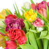 32m666dr8rwa38xthgn3vy736g