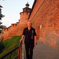 Лев Гинзбург