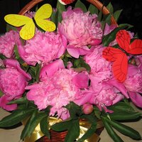 Ирэна Голубева