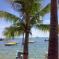 Александр Зотов