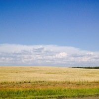 Дмитрий Чернышев