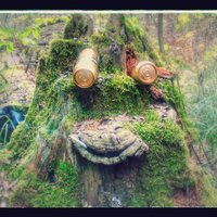 Алексей Богатиков