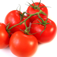 Кубанское Поле