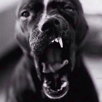 Петр Николаевич