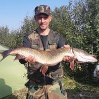 игорь соловьёв