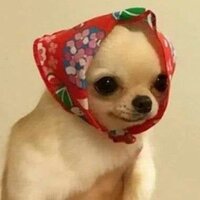 Юлиана Черепанова