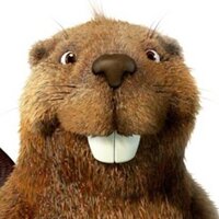 Никита Медянкин