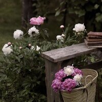 Наталья Галина