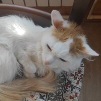 Татьяна Яцунова