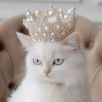 Дарья Позднякова