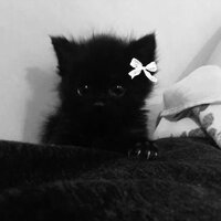 Виктория Чепурина