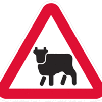 Анна Китаева