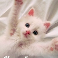 Анастасия Рубцова