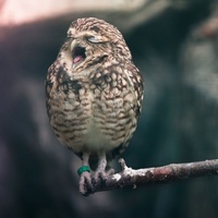 Александр Столбов