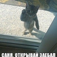 Ильфат Халиуллин