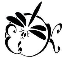 Елена Котлярова