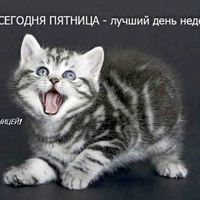 константин р.