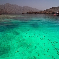 Олег Драников