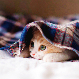 Алёна Бибикова