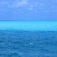 Рогатенкова  Елена