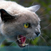 житель русской мини деревни