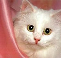 Валентина А.