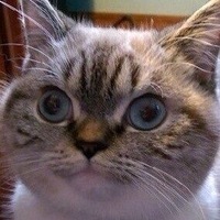 Илья Леонов