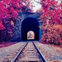 Софья Нежданова