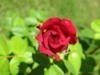 frcrb4n1he161r97qhphc9ee54