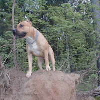 Павел Хмелев