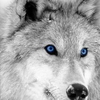 Владимир Рындин