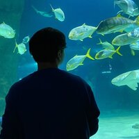 Алексей Славкин