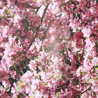 Валентина К.