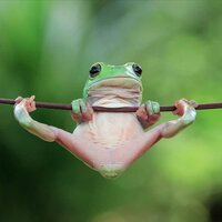 Юлия Егорова