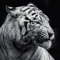 Ольга Деревягина