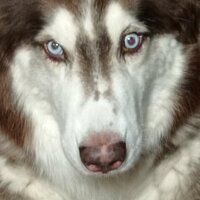 сергей поляков