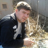 Александр М.