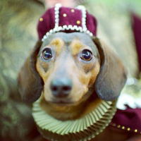 Светлана Д.