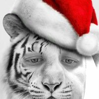 Руслан Котов