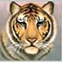 Дмитрий Малюков