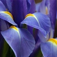 Анна Круглова