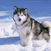 bnecpbjbwvvzwtp7u43e40upw0