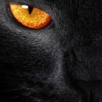 Ирина Гаврилова