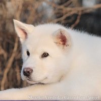 Екатерина Скворцова