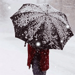 Татьяна Тихонова