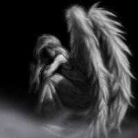 Елена Волкова