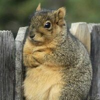 Антон Федулов