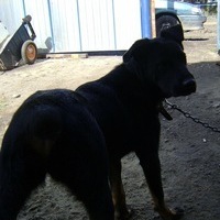 Татьяна Вдовина