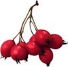 g2cvyup8gehmaypqnq8ryq84p4