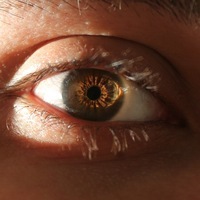 Дмитрий Дервук